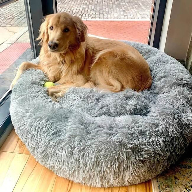 SnuzzyFuzzy™ Anti-Anxiety bed